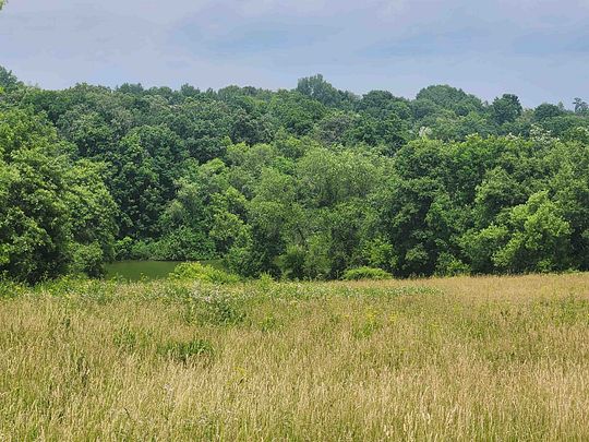 1.1 Acres of Land for Sale in Savanna, Illinois