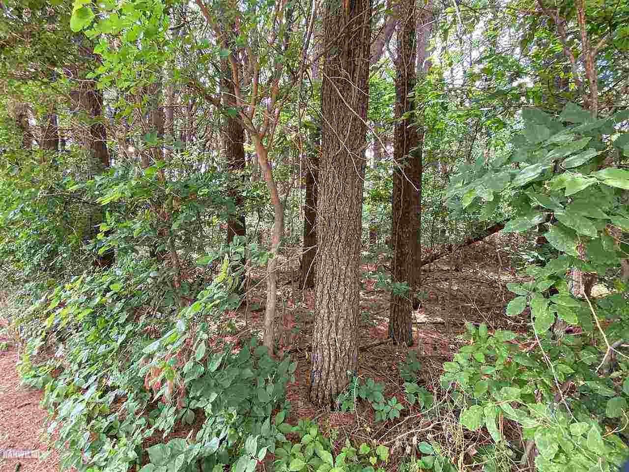 0.51 Acres of Residential Land for Sale in Thomson, Illinois