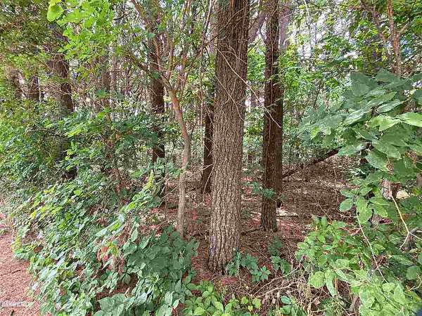 0.51 Acres of Residential Land for Sale in Thomson, Illinois
