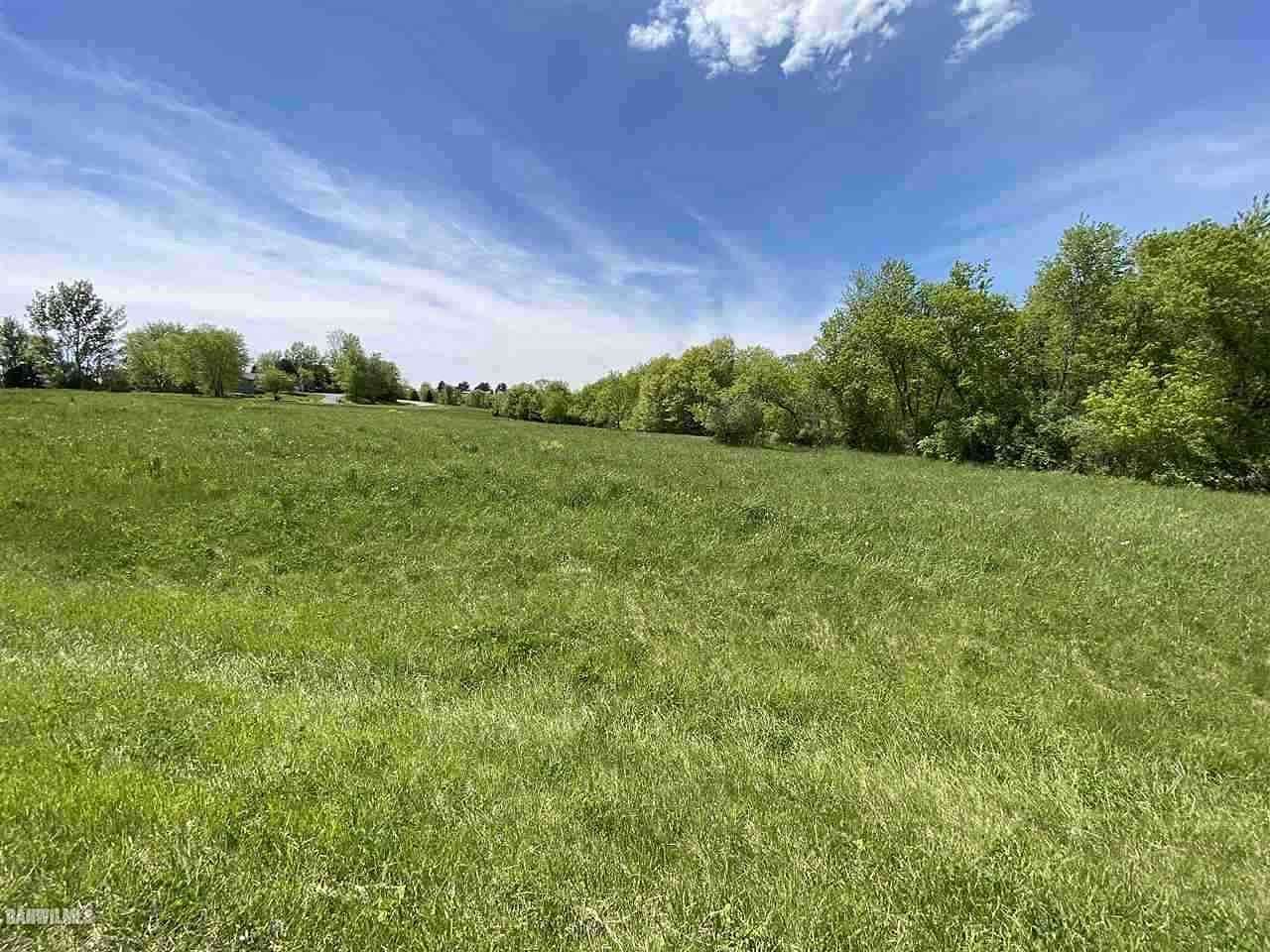0.54 Acres of Land for Sale in Freedom Township, Illinois