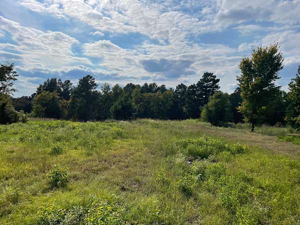 2.8 Acres of Land for Sale in Gladewater, Texas