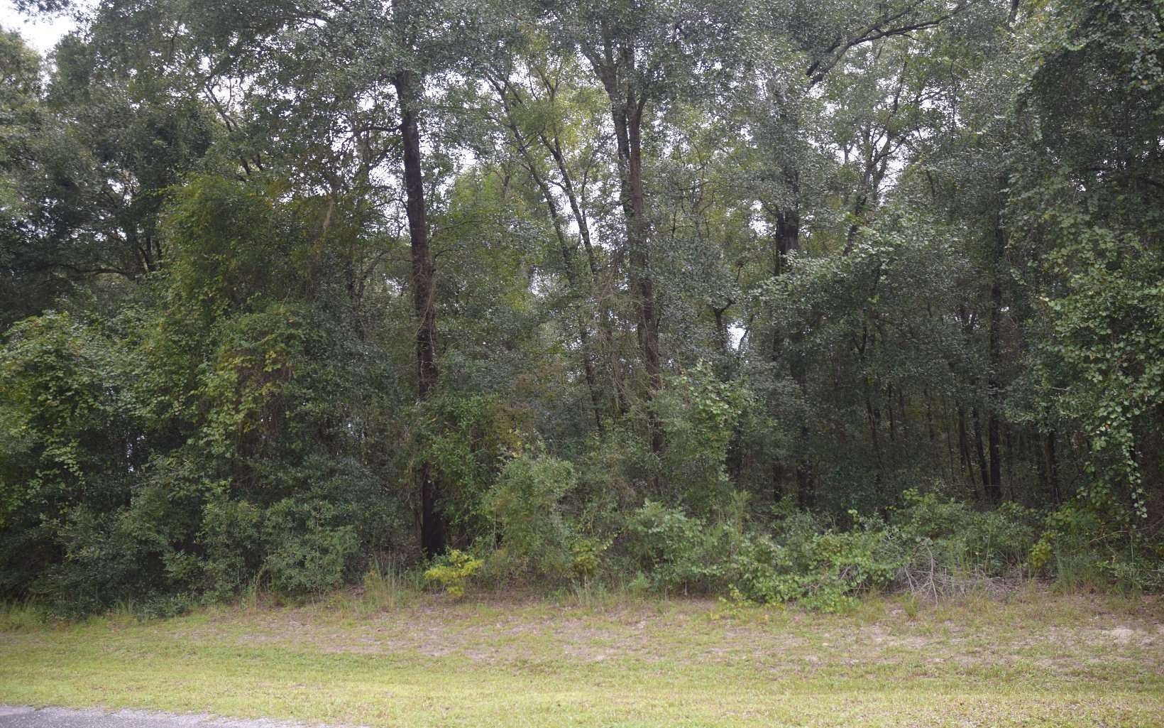 0.53 Acres of Residential Land for Sale in Lake City, Florida