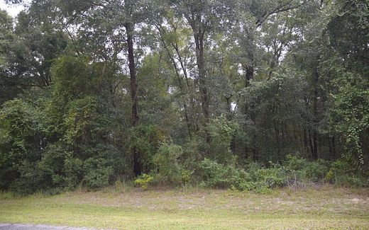 0.53 Acres of Residential Land for Sale in Lake City, Florida
