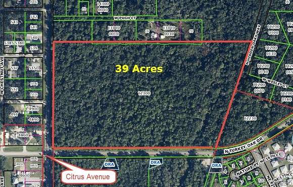 39 Acres of Land for Sale in Crystal River, Florida