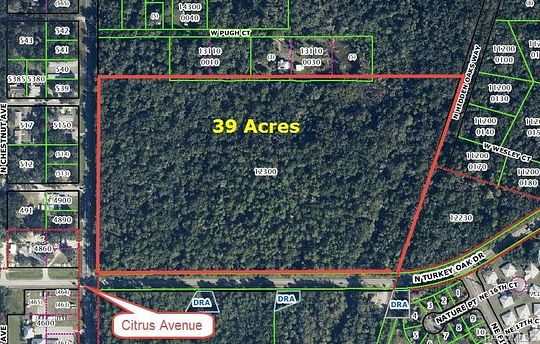 39 Acres of Land for Sale in Crystal River, Florida