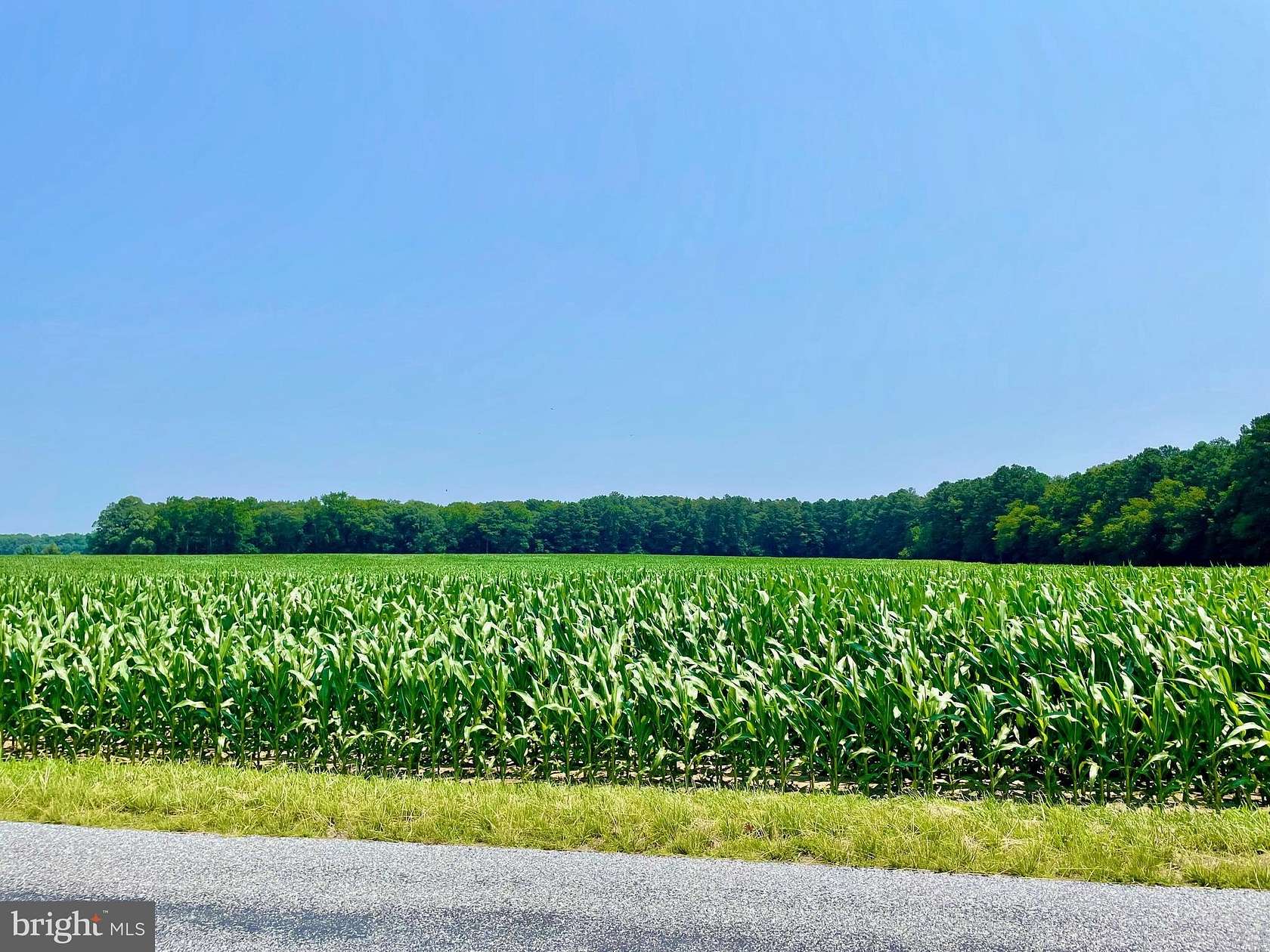 28 Acres of Recreational Land & Farm for Sale in Seaford, Delaware