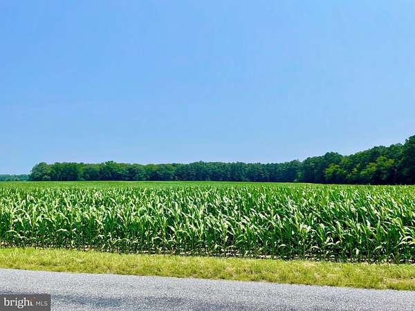 28 Acres of Recreational Land & Farm for Sale in Seaford, Delaware