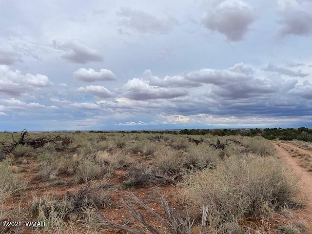 39.6 Acres of Recreational Land & Farm for Sale in Snowflake, Arizona