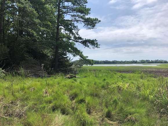 30.8 Acres of Land for Sale in Willis Wharf, Virginia