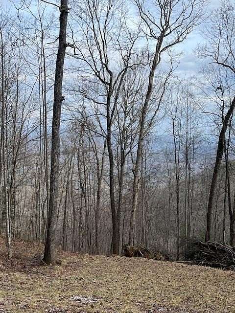 2 Acres of Land for Sale in Almond, North Carolina