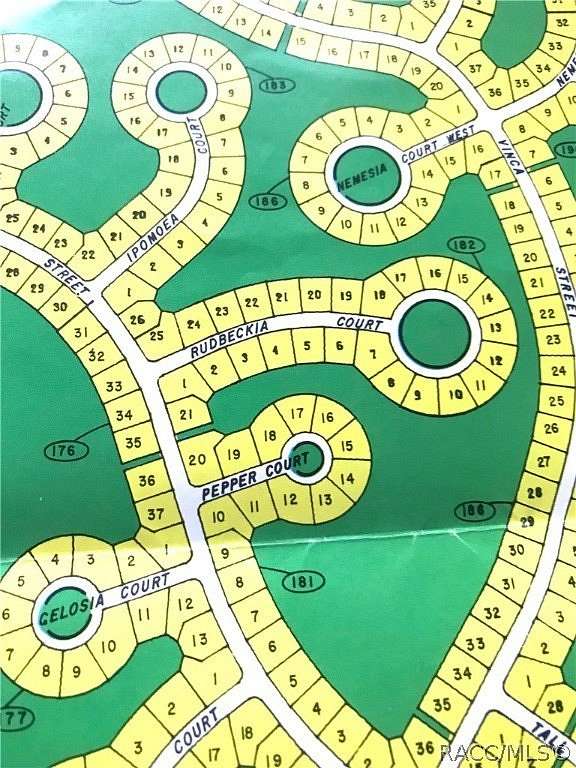 0.34 Acres of Residential Land for Sale in Homosassa, Florida