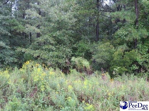 2.1 Acres of Residential Land for Sale in McBee, South Carolina