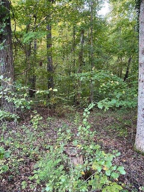 2.77 Acres of Residential Land for Sale in Dawsonville, Georgia