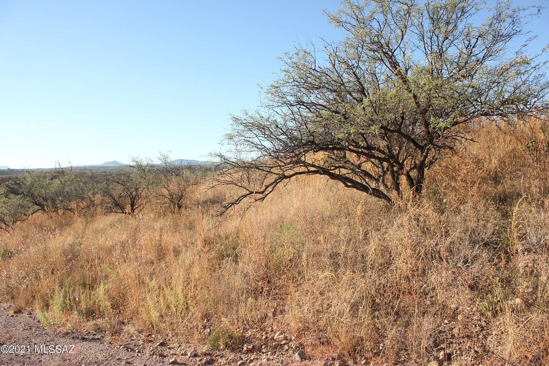4.1 Acres of Residential Land for Sale in Rio Rico, Arizona
