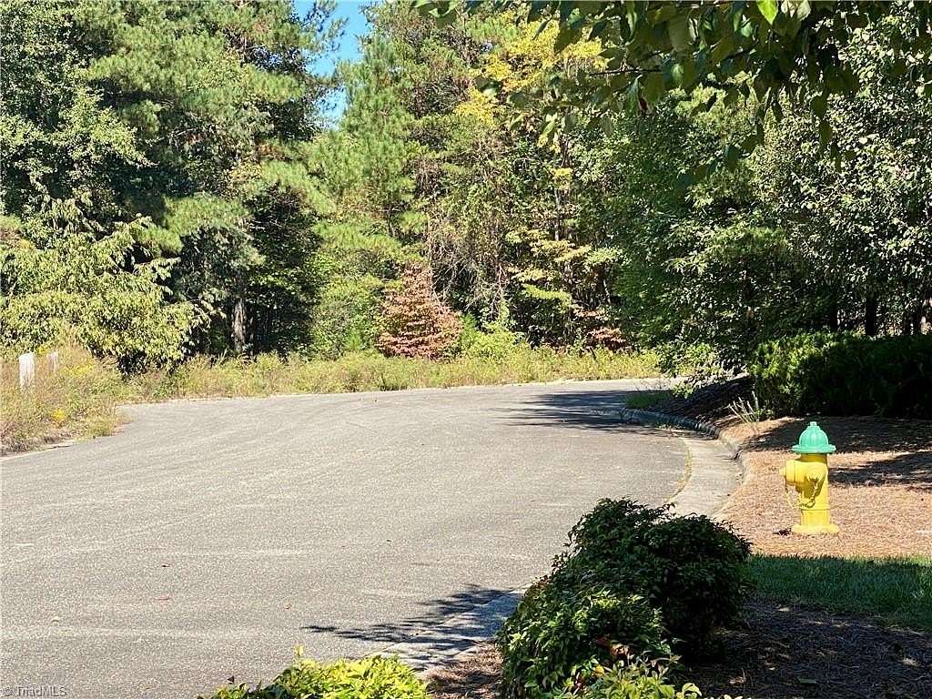 20.2 Acres of Land for Sale in Mount Airy, North Carolina