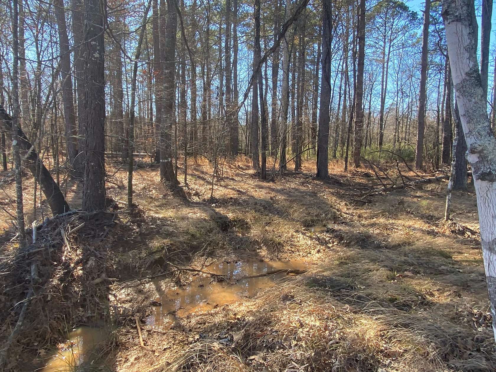 30 Acres of Recreational Land for Sale in Hermitage, Arkansas