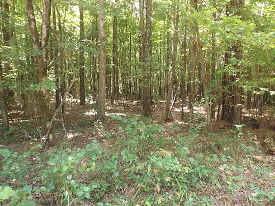286 Acres of Recreational Land for Sale in White Hall, Arkansas