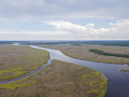 0.67 Acres Of Recreational Land For Sale In White Oak, Georgia - Landsearch