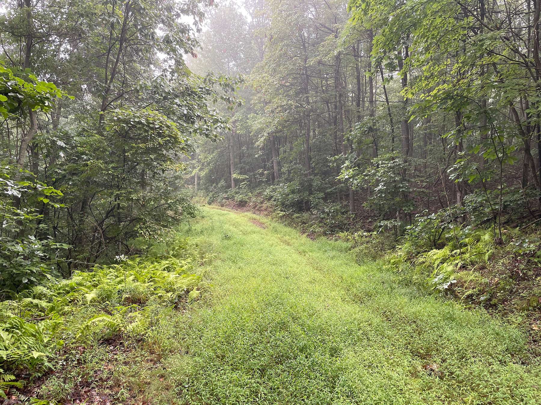 927 Acres of Recreational Land for Sale in Flintstone, Maryland