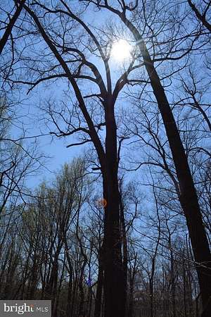 43.7 Acres of Land for Sale in Glyndon, Maryland