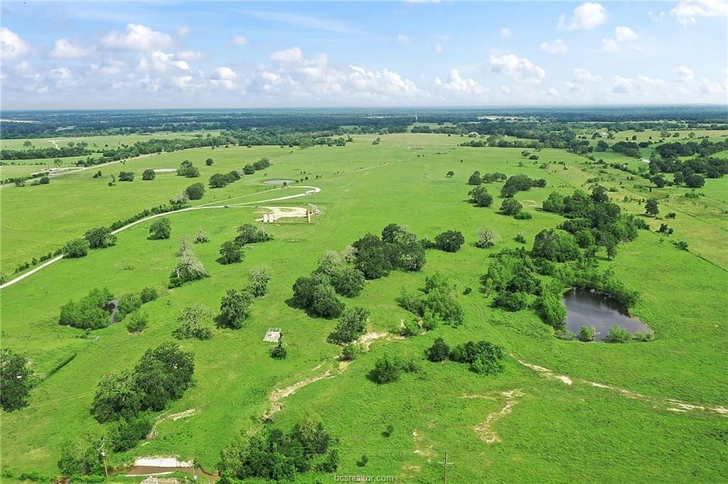81.2 Acres of Agricultural Land for Sale in Madisonville, Texas