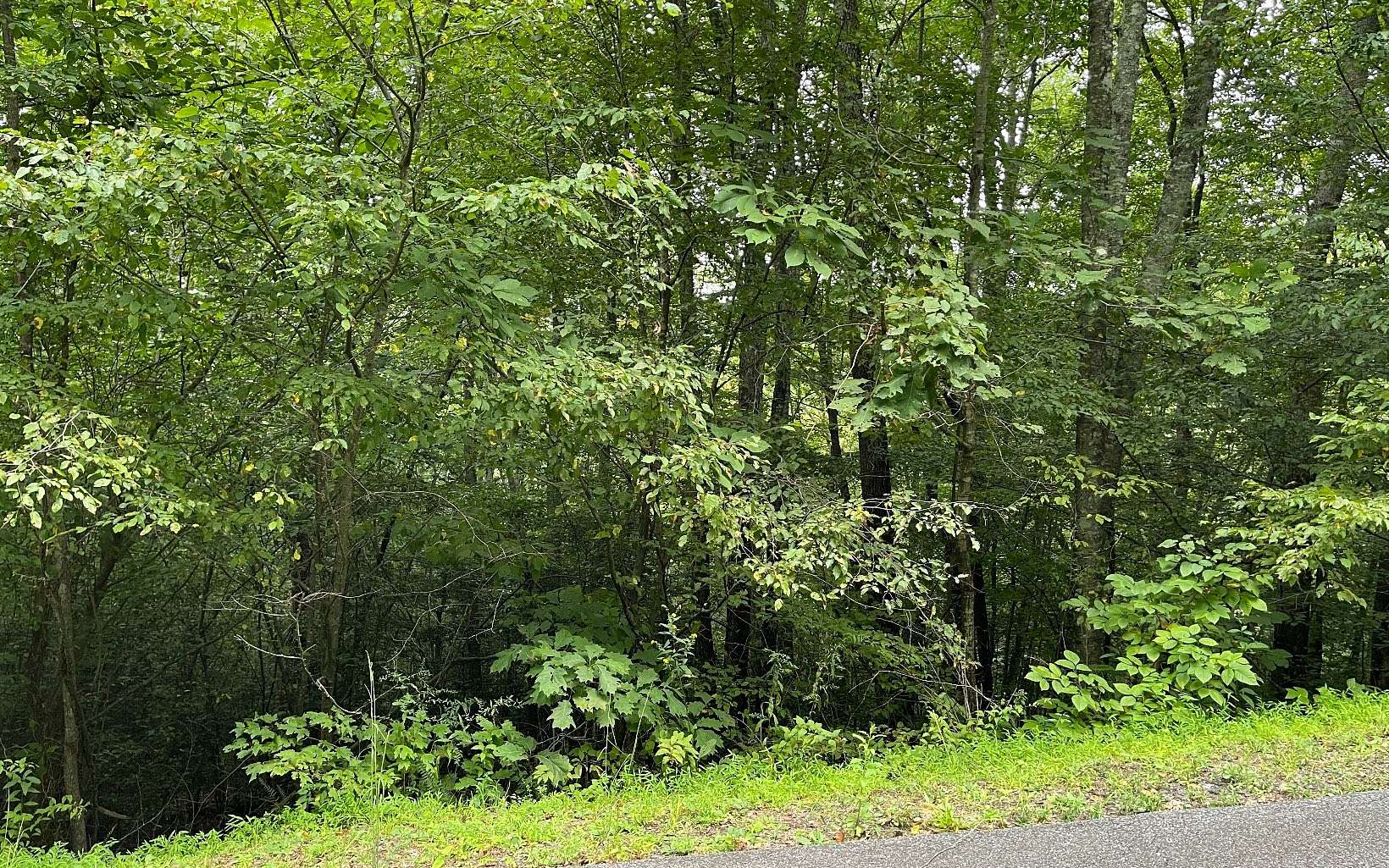 1.3 Acres of Residential Land for Sale in Hiawassee, Georgia