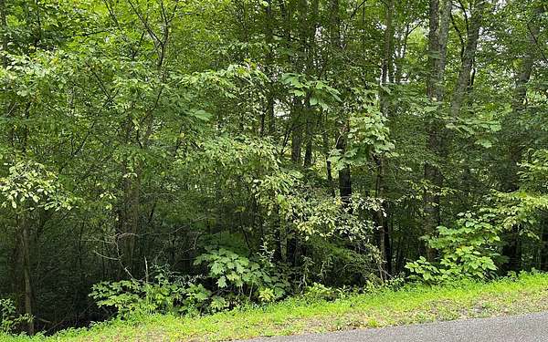 1.32 Acres of Residential Land for Sale in Hiawassee, Georgia