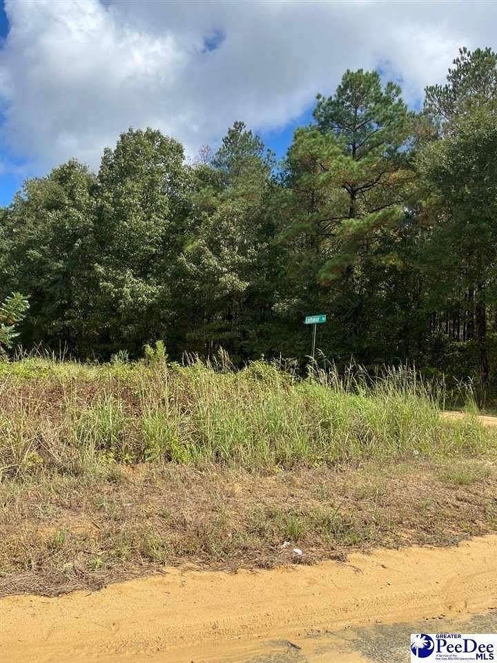 35.6 Acres of Land for Sale in Bennettsville, South Carolina