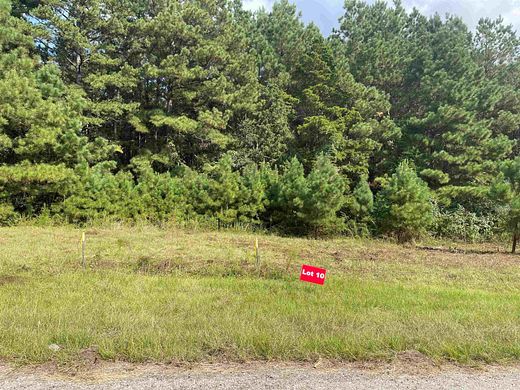 1 Acre of Residential Land for Sale in Tatum, Texas