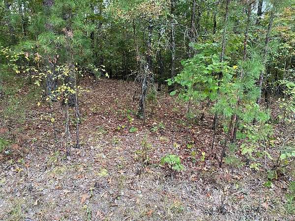 0.56 Acres of Residential Land for Sale in Hot Springs Village, Arkansas