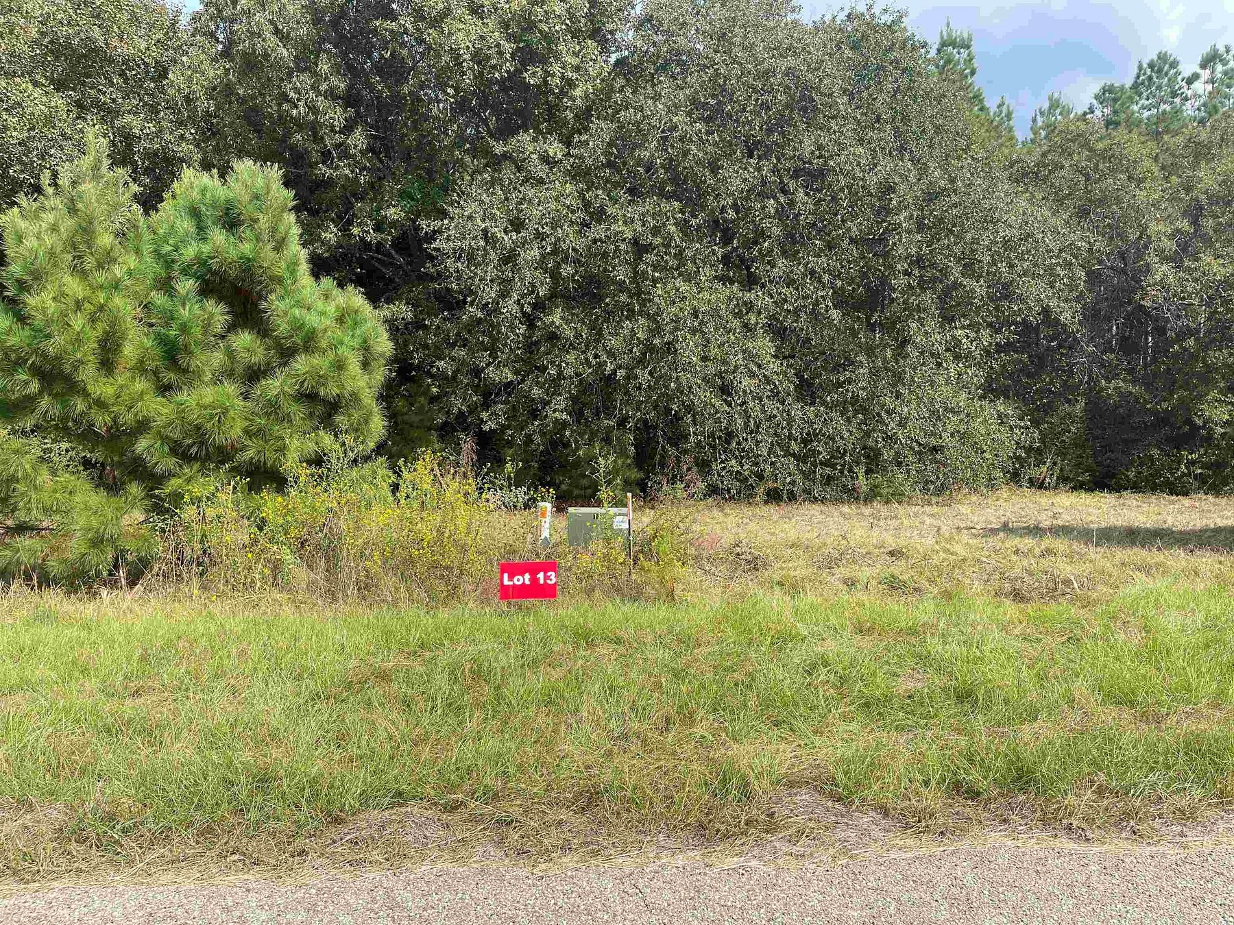 1 Acre of Residential Land for Sale in Tatum, Texas