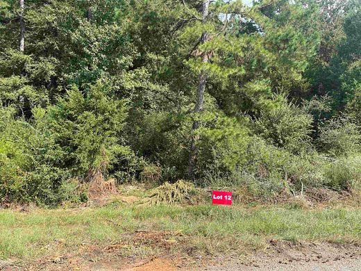 1 Acre of Residential Land for Sale in Tatum, Texas