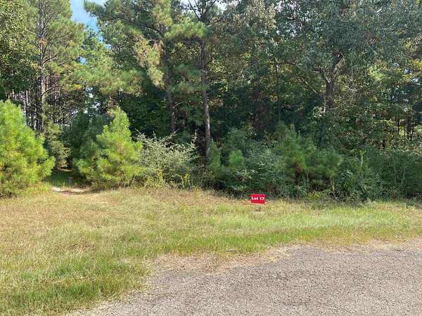 1 Acre of Residential Land for Sale in Tatum, Texas