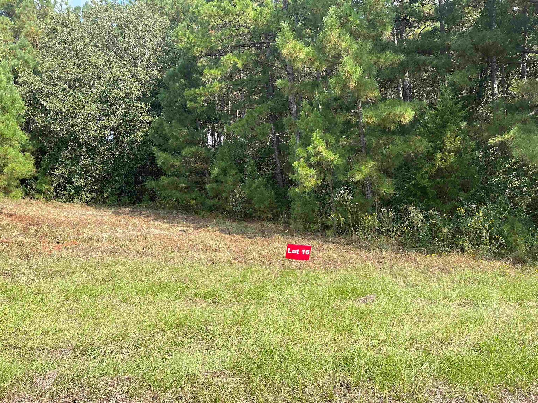 1 Acre of Residential Land for Sale in Tatum, Texas