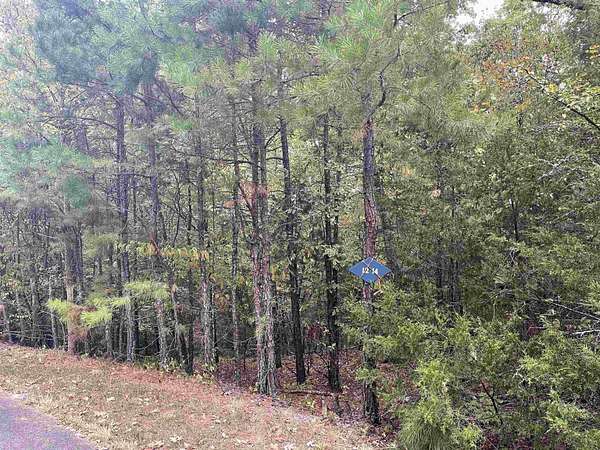 0.65 Acres of Residential Land for Sale in Hot Springs Village, Arkansas