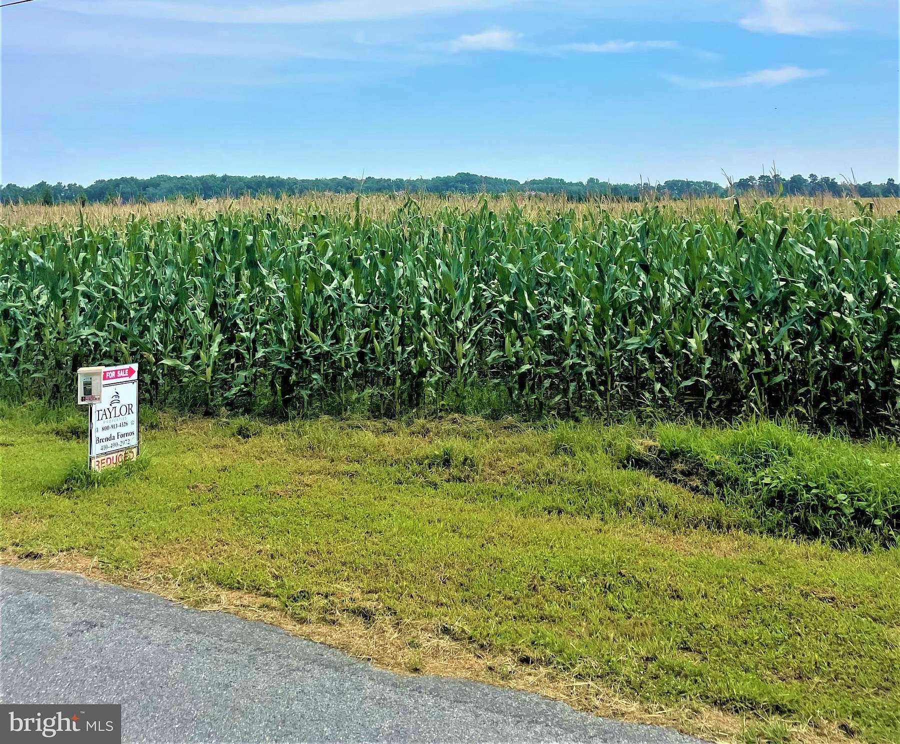 16.3 Acres of Land for Sale in Hurlock, Maryland