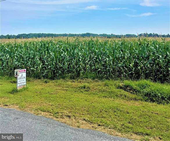 16.3 Acres of Land for Sale in Hurlock, Maryland