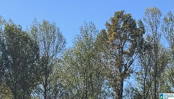0.81 Acres of Land for Sale in Sylvan Springs, Alabama