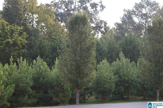 0.81 Acres of Residential Land for Sale in Sylvan Springs, Alabama
