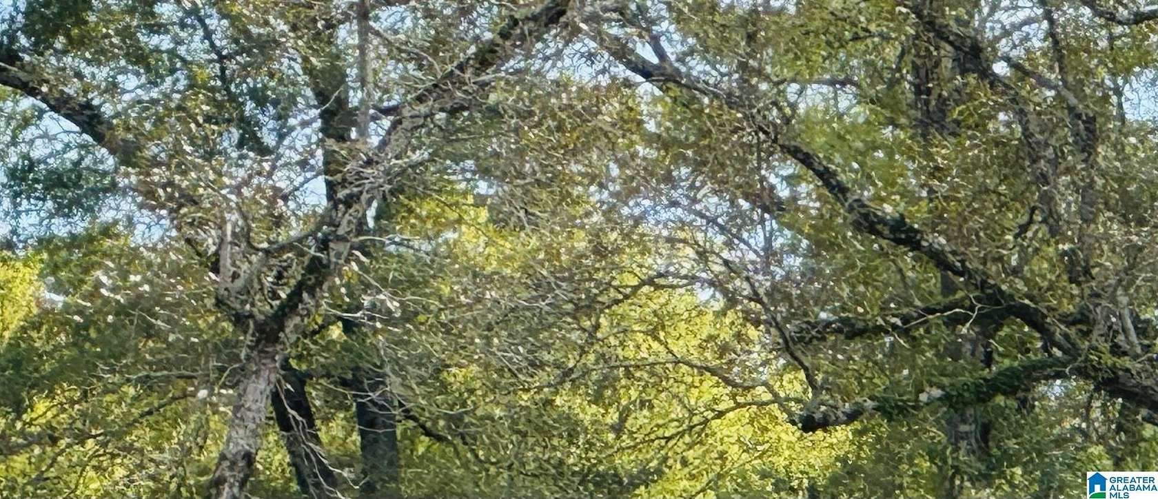 0.47 Acres of Land for Sale in Sylvan Springs, Alabama