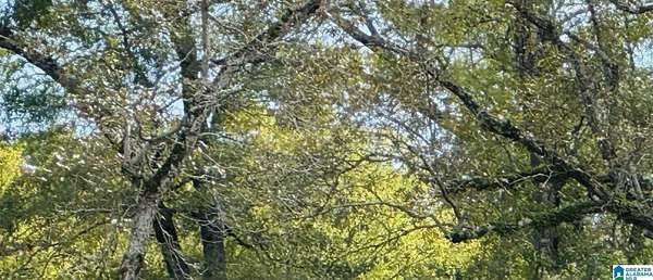 0.47 Acres of Land for Sale in Sylvan Springs, Alabama