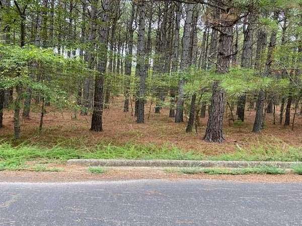 0.33 Acres of Residential Land for Sale in Hot Springs Village, Arkansas