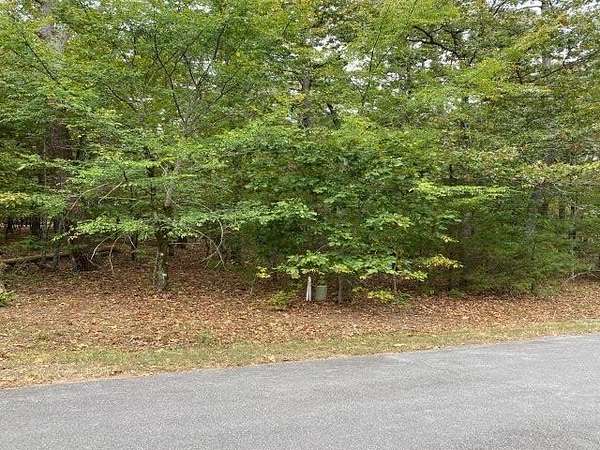 0.45 Acres of Residential Land for Sale in Hot Springs Village, Arkansas