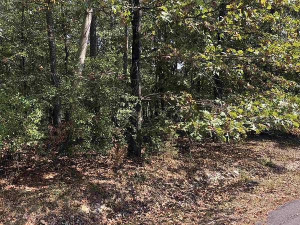 0.5 Acres of Residential Land for Sale in Hot Springs Village, Arkansas