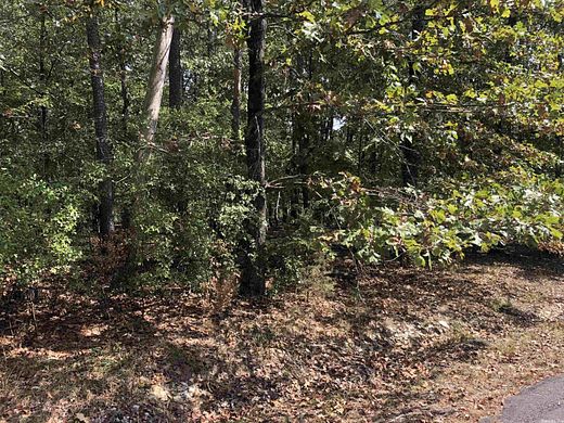 0.506 Acres of Residential Land for Sale in Hot Springs Village, Arkansas