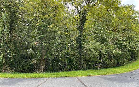 0.55 Acres of Residential Land for Sale in Hayesville, North Carolina