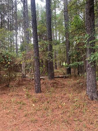 0.31 Acres of Residential Land for Sale in Hot Springs Village, Arkansas