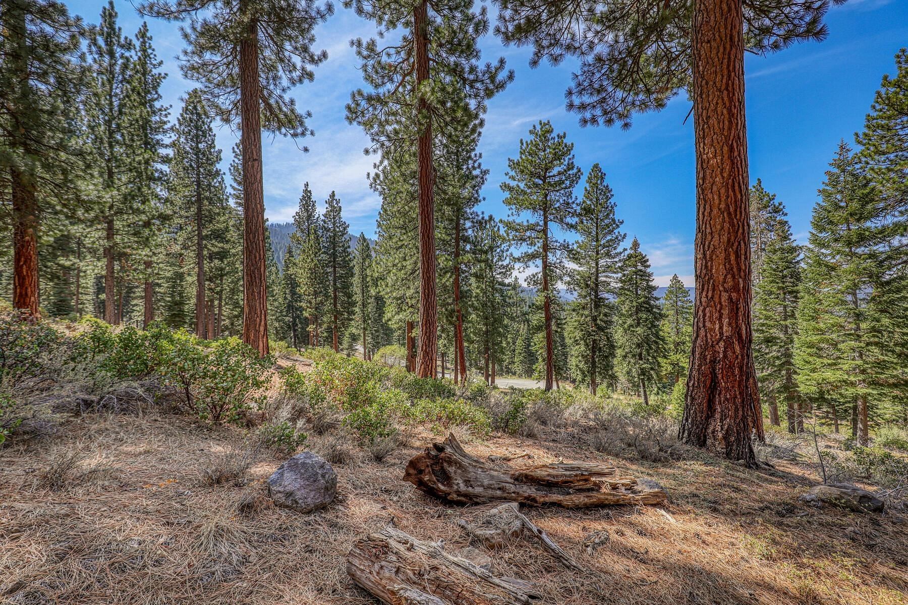 1 Acre of Residential Land for Sale in Truckee, California