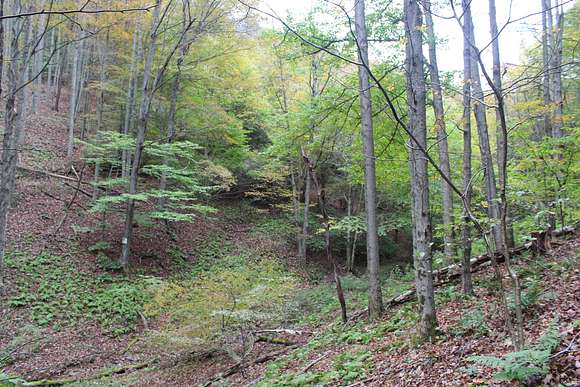 40 Acres of Recreational Land for Sale in Galeton, Pennsylvania