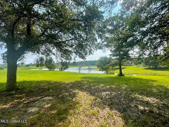 Land For Sale Near Lucedale Ms